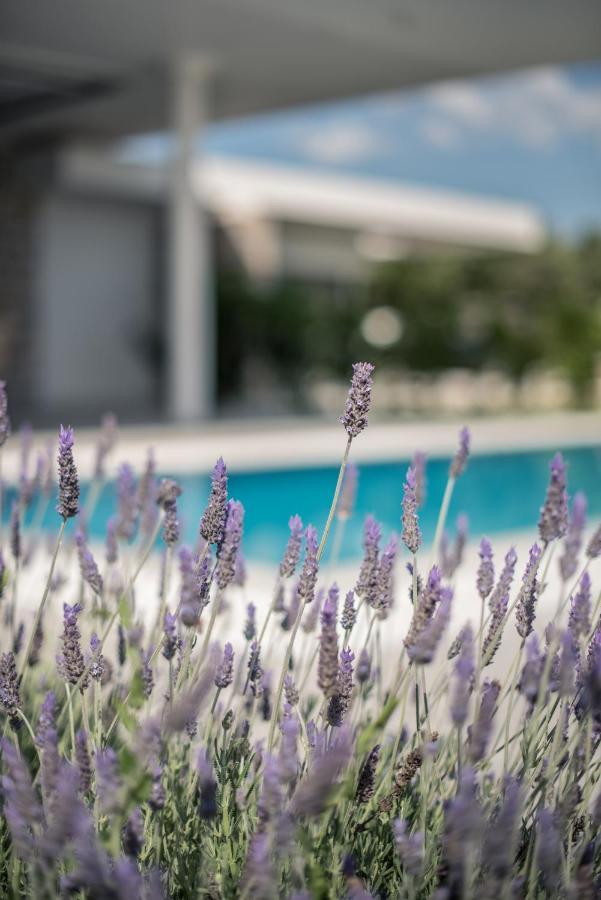 Varko Luxury Suites Palairos Exterior photo